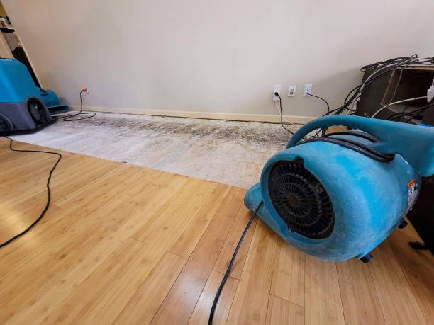 Professional Ceiling Water Damage Repair technician working in Orosi, CA